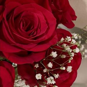 Meet your Posher, Joan nicole